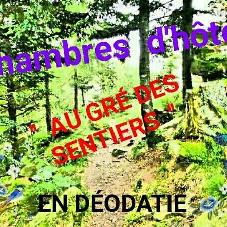 Bed and Breakfast Au Gre Des Sentiers Chez Marie Et Pierre Saint-Die-des-Vosges Exterior foto