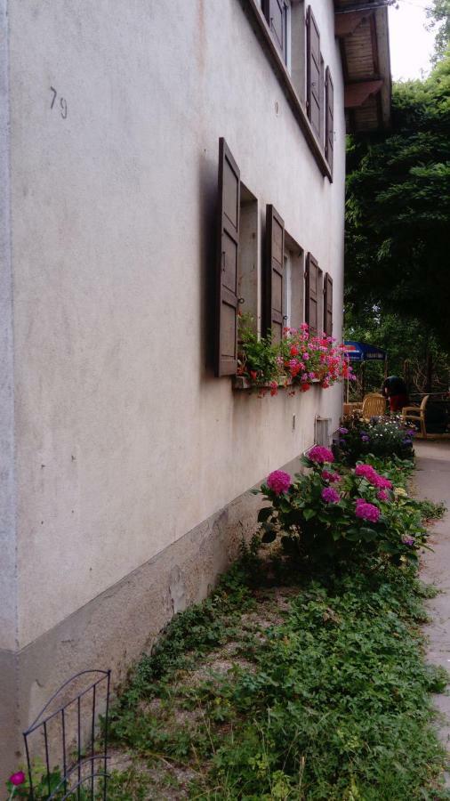 Bed and Breakfast Au Gre Des Sentiers Chez Marie Et Pierre Saint-Die-des-Vosges Exterior foto