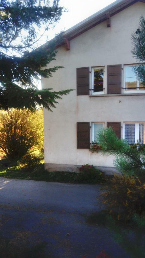 Bed and Breakfast Au Gre Des Sentiers Chez Marie Et Pierre Saint-Die-des-Vosges Exterior foto